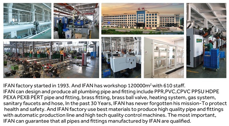 About IFAN.jpg About IFAN.jpg